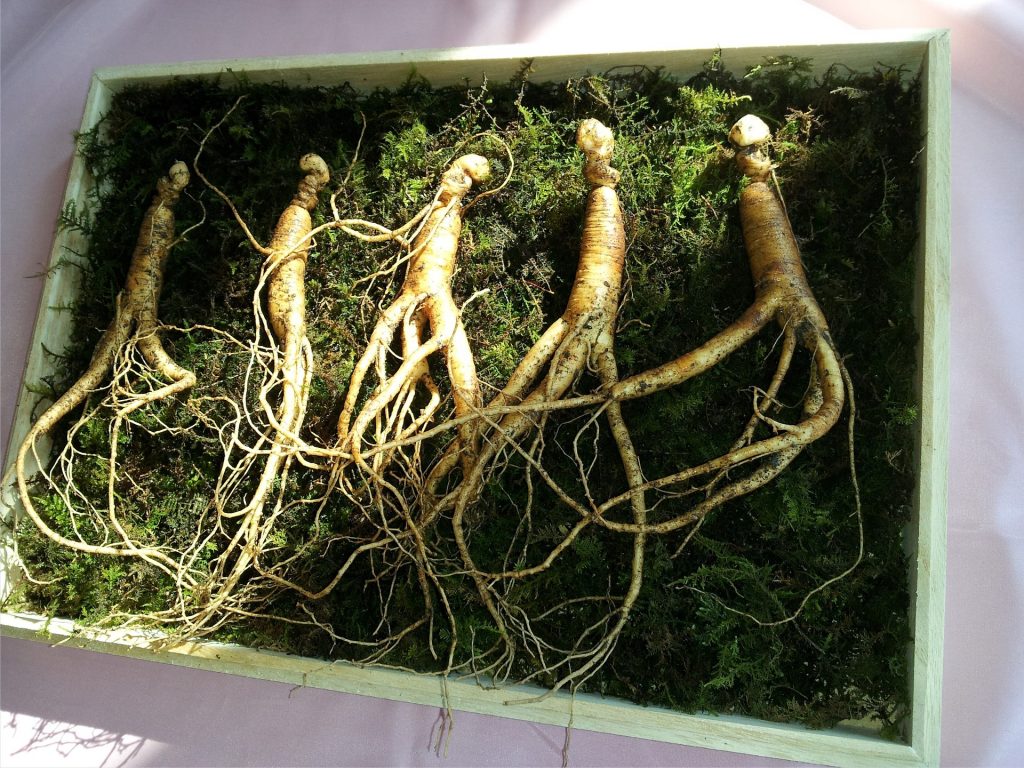 What are the most profitable crops for small farms? Ginseng