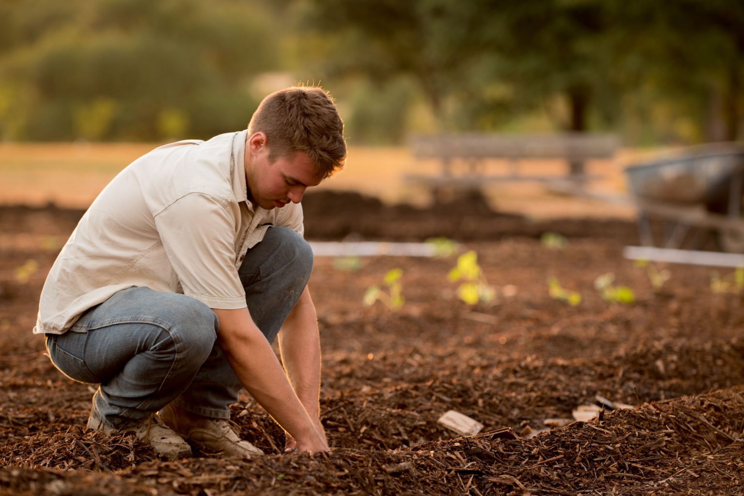 19-types-of-agriculture-jobs-farming-salaries-farming-courses