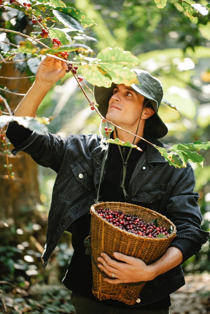 Consider your career and life goals before opting to study agriculture abroad