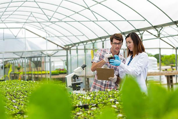 Online Agriculture Degrees at University of Florida via Coursera